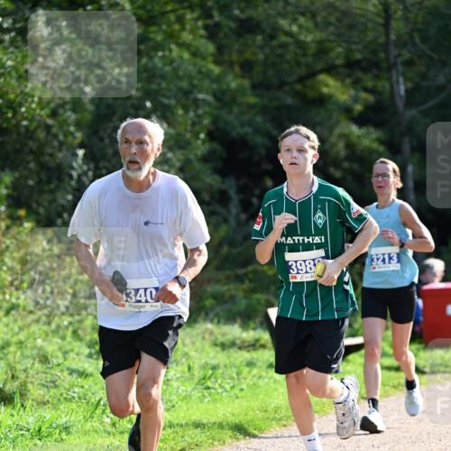 27.09.2026 - 35. Volkslauf durch das schöne Alstertal Dr. Thomas Lammeyer http://msf.ph/oto/10571638 27.09.2026 11:19:54 Laufen 340, 398, 3213 meine-sportfotos.de
