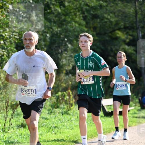 27.09.2026 - 35. Volkslauf durch das schöne Alstertal Dr. Thomas Lammeyer http://msf.ph/oto/10571644 27.09.2026 11:19:55 Laufen 3340, 3988, 3213 meine-sportfotos.de