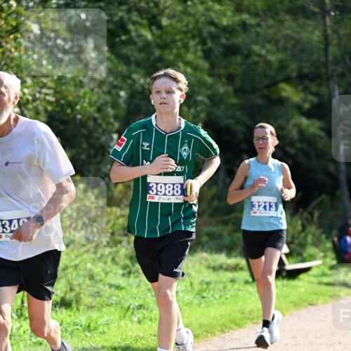 27.09.2026 - 35. Volkslauf durch das schöne Alstertal Dr. Thomas Lammeyer http://msf.ph/oto/10571647 27.09.2026 11:19:55 Laufen 3340, 3988, 3213 meine-sportfotos.de