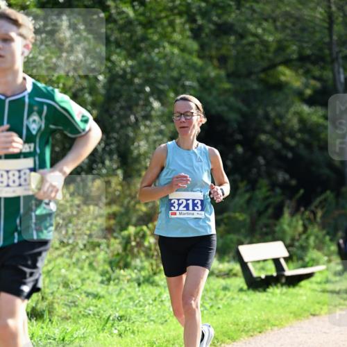 27.09.2026 - 35. Volkslauf durch das schöne Alstertal Dr. Thomas Lammeyer http://msf.ph/oto/10571650 27.09.2026 11:19:56 Laufen 988, 3213 meine-sportfotos.de