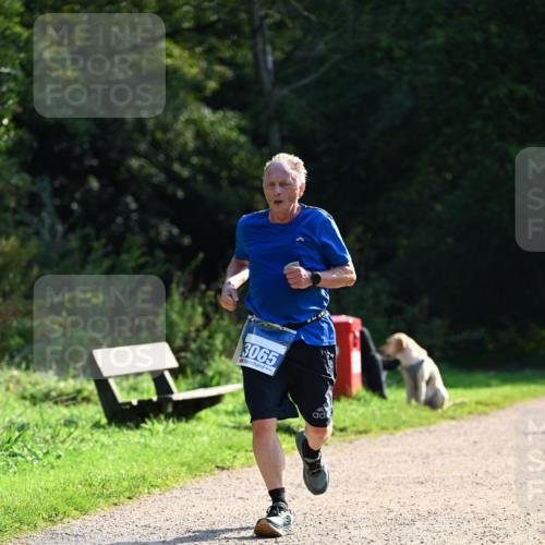 27.09.2026 - 35. Volkslauf durch das schöne Alstertal Dr. Thomas Lammeyer http://msf.ph/oto/10571662 27.09.2026 11:19:59 Laufen 3065 meine-sportfotos.de