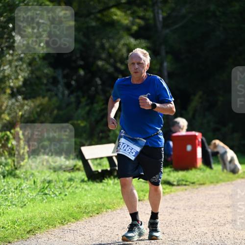 27.09.2026 - 35. Volkslauf durch das schöne Alstertal Dr. Thomas Lammeyer http://msf.ph/oto/10571667 27.09.2026 11:19:59 Laufen 3065 meine-sportfotos.de