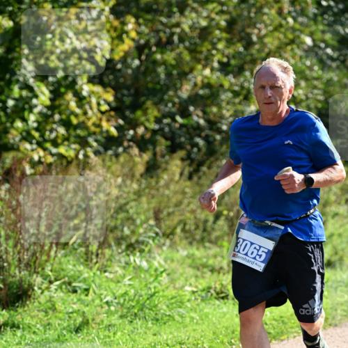 27.09.2026 - 35. Volkslauf durch das schöne Alstertal Dr. Thomas Lammeyer http://msf.ph/oto/10571689 27.09.2026 11:20:01 Laufen 3065 meine-sportfotos.de