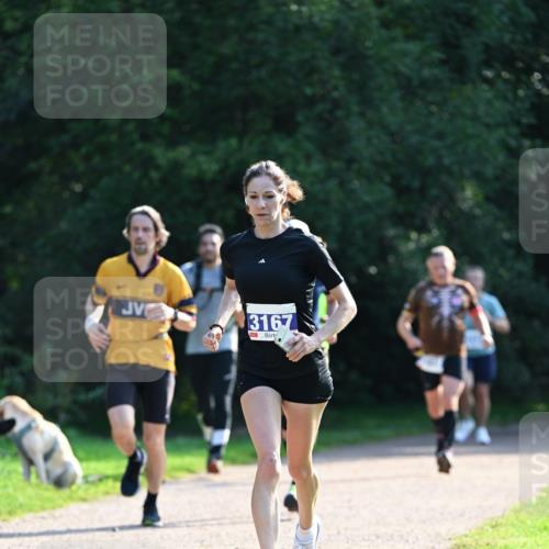 27.09.2026 - 35. Volkslauf durch das schöne Alstertal Dr. Thomas Lammeyer http://msf.ph/oto/10571840 27.09.2026 11:21:01 Laufen 3167 meine-sportfotos.de