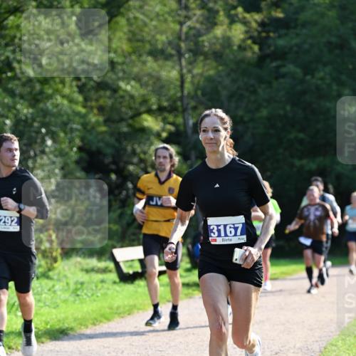 27.09.2026 - 35. Volkslauf durch das schöne Alstertal Dr. Thomas Lammeyer http://msf.ph/oto/10571862 27.09.2026 11:21:04 Laufen 292, 3167 meine-sportfotos.de
