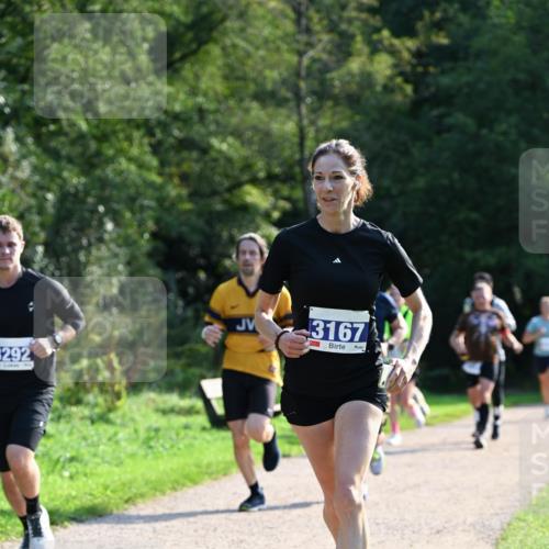 27.09.2026 - 35. Volkslauf durch das schöne Alstertal Dr. Thomas Lammeyer http://msf.ph/oto/10571865 27.09.2026 11:21:04 Laufen 8292, 3167 meine-sportfotos.de