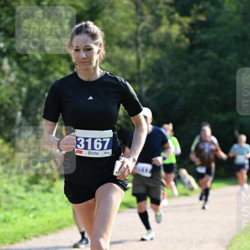 27.09.2026 - 35. Volkslauf durch das schöne Alstertal Dr. Thomas Lammeyer http://msf.ph/oto/10571871 27.09.2026 11:21:04 Laufen 3167 meine-sportfotos.de