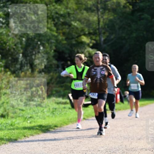 27.09.2026 - 35. Volkslauf durch das schöne Alstertal Dr. Thomas Lammeyer http://msf.ph/oto/10571886 27.09.2026 11:21:07 Laufen  meine-sportfotos.de