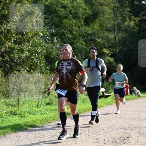 27.09.2026 - 35. Volkslauf durch das schöne Alstertal Dr. Thomas Lammeyer http://msf.ph/oto/10571897 27.09.2026 11:21:09 Laufen 3118, 324 meine-sportfotos.de