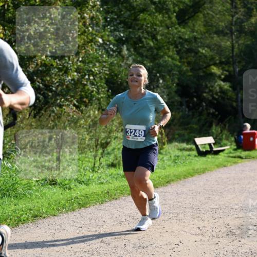 27.09.2026 - 35. Volkslauf durch das schöne Alstertal Dr. Thomas Lammeyer http://msf.ph/oto/10571914 27.09.2026 11:21:11 Laufen 3249 meine-sportfotos.de