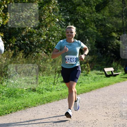 27.09.2026 - 35. Volkslauf durch das schöne Alstertal Dr. Thomas Lammeyer http://msf.ph/oto/10571915 27.09.2026 11:21:11 Laufen 3249 meine-sportfotos.de