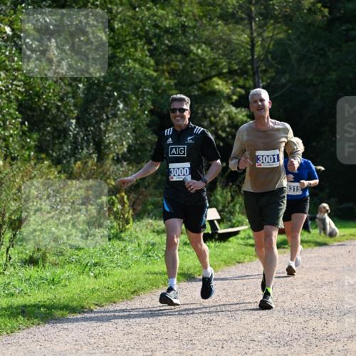 27.09.2026 - 35. Volkslauf durch das schöne Alstertal Dr. Thomas Lammeyer http://msf.ph/oto/10571949 27.09.2026 11:21:28 Laufen 3000, 3001, 3315 meine-sportfotos.de