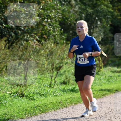 27.09.2026 - 35. Volkslauf durch das schöne Alstertal Dr. Thomas Lammeyer http://msf.ph/oto/10571977 27.09.2026 11:21:31 Laufen 3315 meine-sportfotos.de