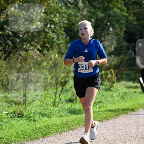 27.09.2026 - 35. Volkslauf durch das schöne Alstertal Dr. Thomas Lammeyer http://msf.ph/oto/10571978 27.09.2026 11:21:31 Laufen 3315 meine-sportfotos.de