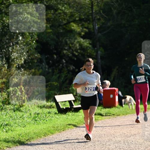 27.09.2026 - 35. Volkslauf durch das schöne Alstertal Dr. Thomas Lammeyer http://msf.ph/oto/10572042 27.09.2026 11:21:54 Laufen 3291, 1148 meine-sportfotos.de