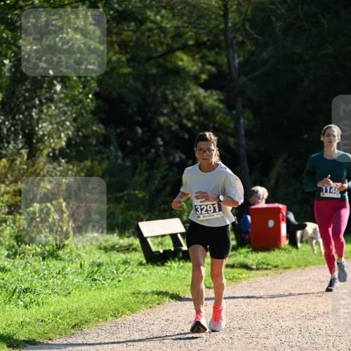 27.09.2026 - 35. Volkslauf durch das schöne Alstertal Dr. Thomas Lammeyer http://msf.ph/oto/10572045 27.09.2026 11:21:54 Laufen 3291, 1148 meine-sportfotos.de