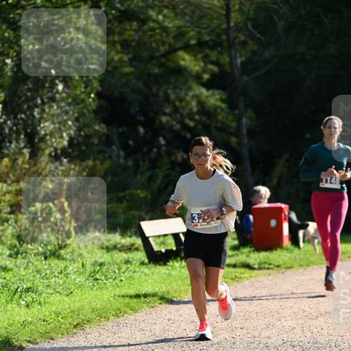 27.09.2026 - 35. Volkslauf durch das schöne Alstertal Dr. Thomas Lammeyer http://msf.ph/oto/10572046 27.09.2026 11:21:54 Laufen 3, 1148 meine-sportfotos.de