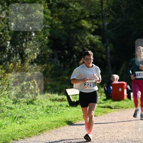 27.09.2026 - 35. Volkslauf durch das schöne Alstertal Dr. Thomas Lammeyer http://msf.ph/oto/10572049 27.09.2026 11:21:54 Laufen 3291, 1148 meine-sportfotos.de