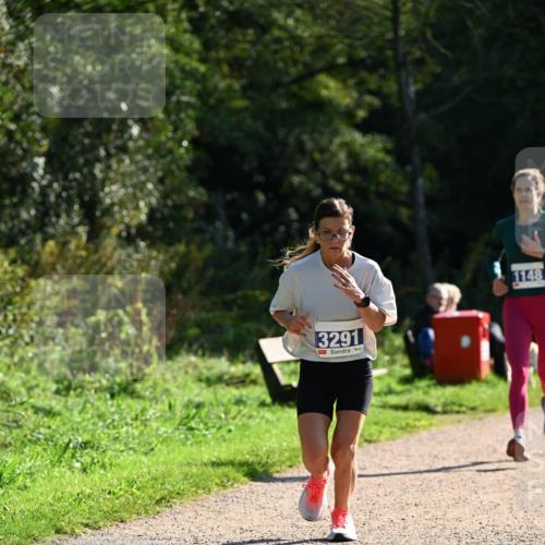 27.09.2026 - 35. Volkslauf durch das schöne Alstertal Dr. Thomas Lammeyer http://msf.ph/oto/10572051 27.09.2026 11:21:55 Laufen 3291, 1148 meine-sportfotos.de