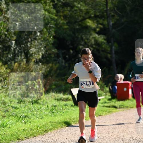 27.09.2026 - 35. Volkslauf durch das schöne Alstertal Dr. Thomas Lammeyer http://msf.ph/oto/10572052 27.09.2026 11:21:55 Laufen 3291, 1145 meine-sportfotos.de