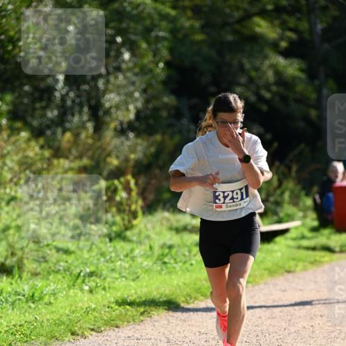 27.09.2026 - 35. Volkslauf durch das schöne Alstertal Dr. Thomas Lammeyer http://msf.ph/oto/10572056 27.09.2026 11:21:55 Laufen 3291 meine-sportfotos.de