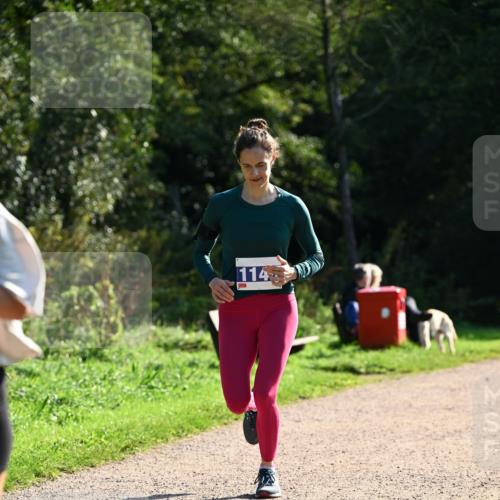 27.09.2026 - 35. Volkslauf durch das schöne Alstertal Dr. Thomas Lammeyer http://msf.ph/oto/10572064 27.09.2026 11:21:57 Laufen 114 meine-sportfotos.de