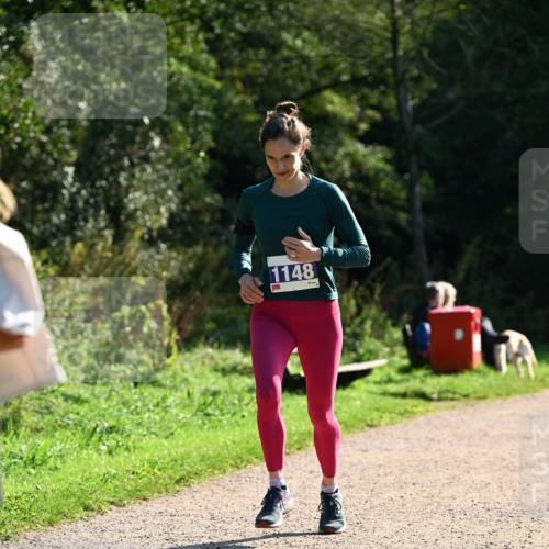 27.09.2026 - 35. Volkslauf durch das schöne Alstertal Dr. Thomas Lammeyer http://msf.ph/oto/10572065 27.09.2026 11:21:57 Laufen 1148 meine-sportfotos.de