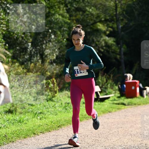 27.09.2026 - 35. Volkslauf durch das schöne Alstertal Dr. Thomas Lammeyer http://msf.ph/oto/10572066 27.09.2026 11:21:57 Laufen 1140 meine-sportfotos.de