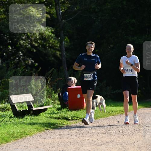 27.09.2026 - 35. Volkslauf durch das schöne Alstertal Dr. Thomas Lammeyer http://msf.ph/oto/10572074 27.09.2026 11:22:01 Laufen 3366, 3367 meine-sportfotos.de