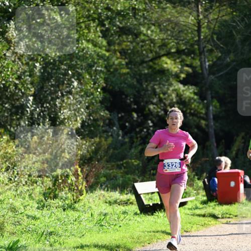 27.09.2026 - 35. Volkslauf durch das schöne Alstertal Dr. Thomas Lammeyer http://msf.ph/oto/10572121 27.09.2026 11:22:09 Laufen 3326 meine-sportfotos.de
