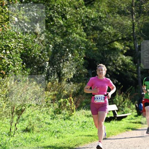 27.09.2026 - 35. Volkslauf durch das schöne Alstertal Dr. Thomas Lammeyer http://msf.ph/oto/10572129 27.09.2026 11:22:10 Laufen 3326 meine-sportfotos.de