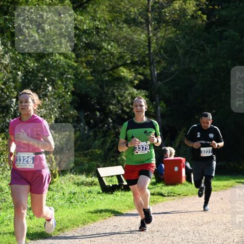 27.09.2026 - 35. Volkslauf durch das schöne Alstertal Dr. Thomas Lammeyer http://msf.ph/oto/10572134 27.09.2026 11:22:11 Laufen 3326, 13379, 3227 meine-sportfotos.de