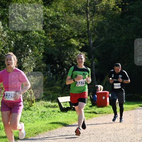 27.09.2026 - 35. Volkslauf durch das schöne Alstertal Dr. Thomas Lammeyer http://msf.ph/oto/10572135 27.09.2026 11:22:11 Laufen 3326, 3379, 3227 meine-sportfotos.de