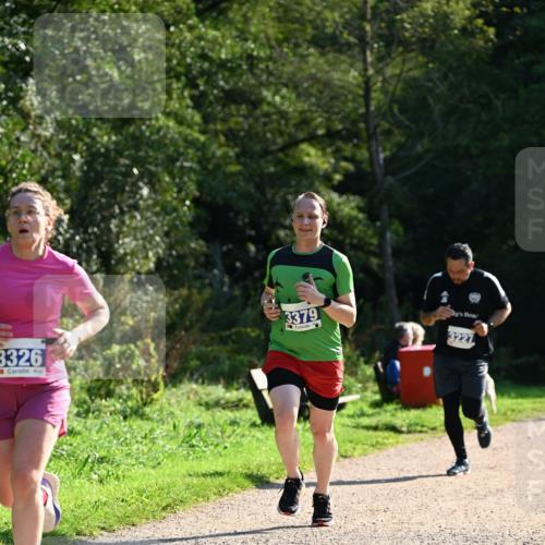 27.09.2026 - 35. Volkslauf durch das schöne Alstertal Dr. Thomas Lammeyer http://msf.ph/oto/10572138 27.09.2026 11:22:12 Laufen 3326, 3379, 3227 meine-sportfotos.de