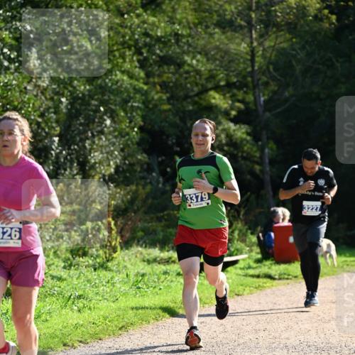 27.09.2026 - 35. Volkslauf durch das schöne Alstertal Dr. Thomas Lammeyer http://msf.ph/oto/10572139 27.09.2026 11:22:12 Laufen 326, 3379, 3227 meine-sportfotos.de