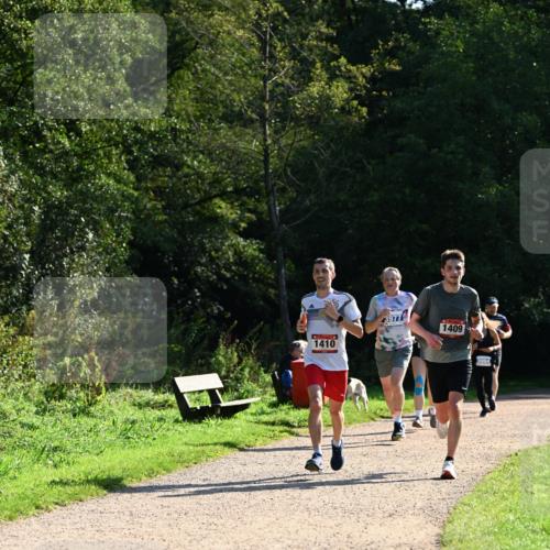 27.09.2026 - 35. Volkslauf durch das schöne Alstertal Dr. Thomas Lammeyer http://msf.ph/oto/10572164 27.09.2026 11:22:16 Laufen 1410, 3977, 1409 meine-sportfotos.de