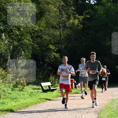 27.09.2026 - 35. Volkslauf durch das schöne Alstertal Dr. Thomas Lammeyer http://msf.ph/oto/10572170 27.09.2026 11:22:16 Laufen 1410, 39, 1409 meine-sportfotos.de