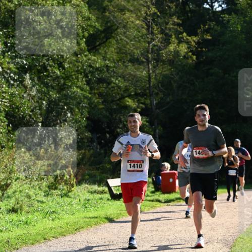 27.09.2026 - 35. Volkslauf durch das schöne Alstertal Dr. Thomas Lammeyer http://msf.ph/oto/10572175 27.09.2026 11:22:17 Laufen 1410, 14 meine-sportfotos.de