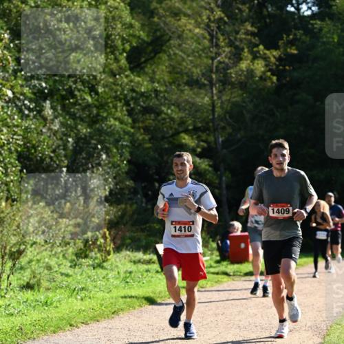 27.09.2026 - 35. Volkslauf durch das schöne Alstertal Dr. Thomas Lammeyer http://msf.ph/oto/10572176 27.09.2026 11:22:17 Laufen 1410, 1409 meine-sportfotos.de