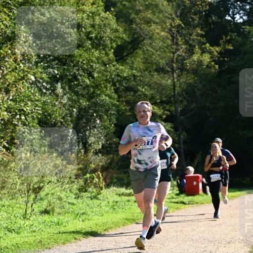 27.09.2026 - 35. Volkslauf durch das schöne Alstertal Dr. Thomas Lammeyer http://msf.ph/oto/10572191 27.09.2026 11:22:19 Laufen 96, 3994 meine-sportfotos.de