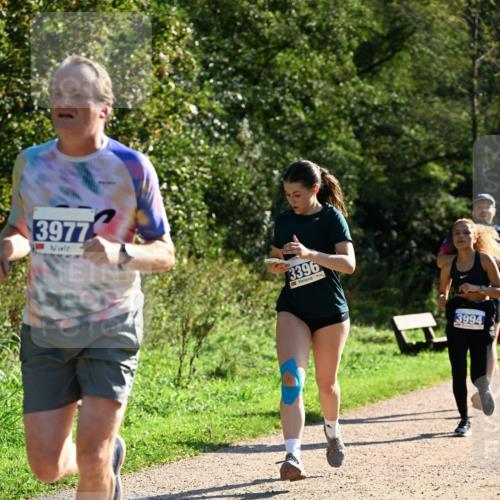 27.09.2026 - 35. Volkslauf durch das schöne Alstertal Dr. Thomas Lammeyer http://msf.ph/oto/10572204 27.09.2026 11:22:21 Laufen 3977, 3396, 3994 meine-sportfotos.de