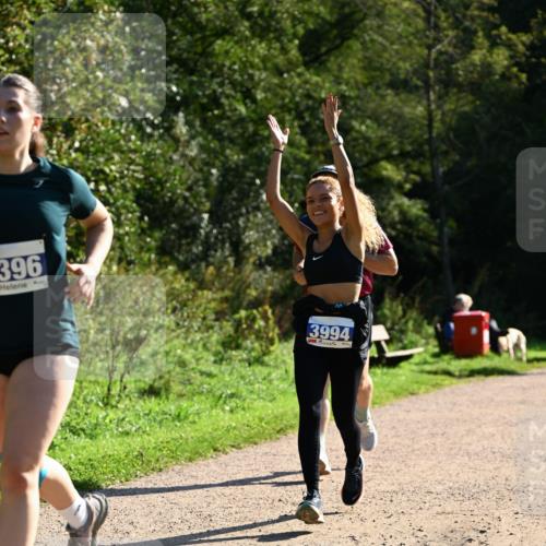 27.09.2026 - 35. Volkslauf durch das schöne Alstertal Dr. Thomas Lammeyer http://msf.ph/oto/10572212 27.09.2026 11:22:22 Laufen 396, 3994 meine-sportfotos.de