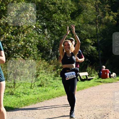 27.09.2026 - 35. Volkslauf durch das schöne Alstertal Dr. Thomas Lammeyer http://msf.ph/oto/10572214 27.09.2026 11:22:22 Laufen 3994 meine-sportfotos.de