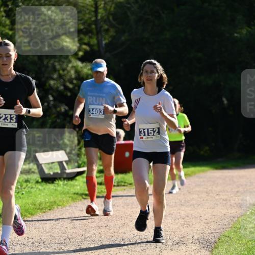27.09.2026 - 35. Volkslauf durch das schöne Alstertal Dr. Thomas Lammeyer http://msf.ph/oto/10572240 27.09.2026 11:22:27 Laufen 233, 3403, 3152 meine-sportfotos.de