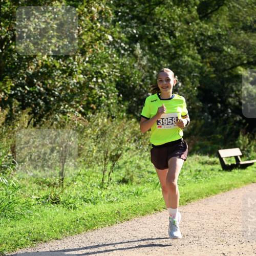 27.09.2026 - 35. Volkslauf durch das schöne Alstertal Dr. Thomas Lammeyer http://msf.ph/oto/10572266 27.09.2026 11:22:32 Laufen 3958 meine-sportfotos.de