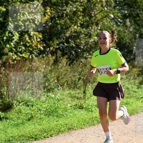 27.09.2026 - 35. Volkslauf durch das schöne Alstertal Dr. Thomas Lammeyer http://msf.ph/oto/10572272 27.09.2026 11:22:32 Laufen 3958 meine-sportfotos.de