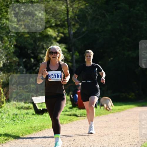27.09.2026 - 35. Volkslauf durch das schöne Alstertal Dr. Thomas Lammeyer http://msf.ph/oto/10572289 27.09.2026 11:22:46 Laufen 13417 meine-sportfotos.de