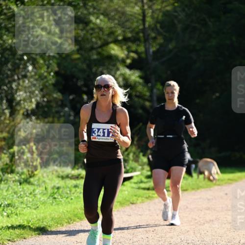27.09.2026 - 35. Volkslauf durch das schöne Alstertal Dr. Thomas Lammeyer http://msf.ph/oto/10572292 27.09.2026 11:22:46 Laufen 3417 meine-sportfotos.de