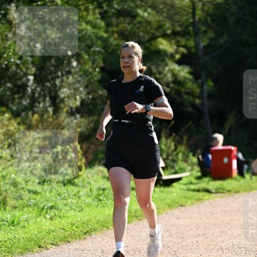 27.09.2026 - 35. Volkslauf durch das schöne Alstertal Dr. Thomas Lammeyer http://msf.ph/oto/10572303 27.09.2026 11:22:48 Laufen  meine-sportfotos.de