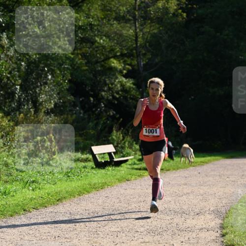 27.09.2026 - 35. Volkslauf durch das schöne Alstertal Dr. Thomas Lammeyer http://msf.ph/oto/10572305 27.09.2026 11:22:54 Laufen 1001 meine-sportfotos.de